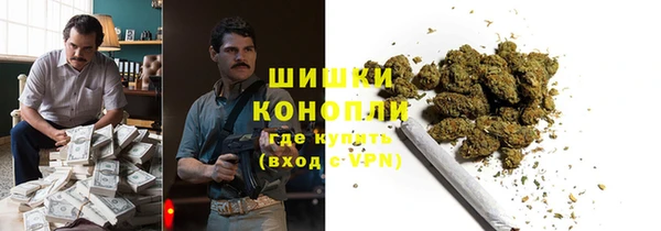 индика Белоозёрский