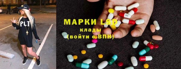 индика Белоозёрский