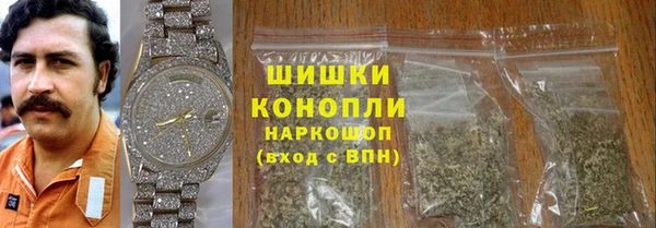 индика Белоозёрский